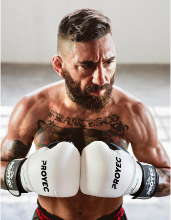 GUANTES DE BOXEO PRO FIGHT
