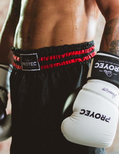 GUANTES DE BOXEO PRO FIGHT