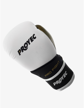 GUANTES DE BOXEO PRO FIGHT 2